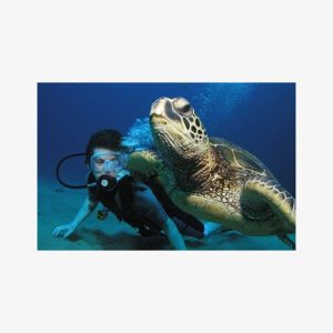 Intro Dive Kaanapali Swim Ability Required For Two