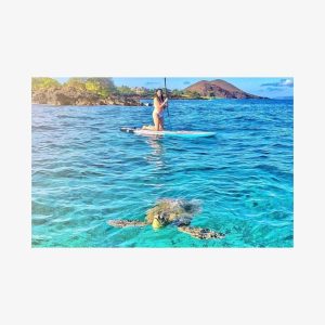 Stand Up Paddle Boarding Tour in Turtle Town, Maui For Two