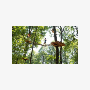 Adult Daily ticket for Adventure Park in Gravedona - Quad Admission