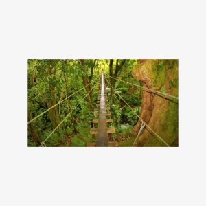 Big Island Zipline Adventure - Quad Admission