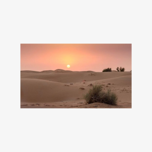 Dubai evening desert safari and camp with dinner