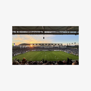 LA Galaxy Football Game at Dignity Health Sports Park