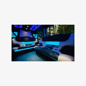 6hr | 7 Passenger Mercedes Sprinter Limo Van Private Tour